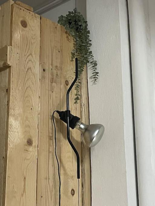 Vila Casa Neno La Mareta Exteriér fotografie